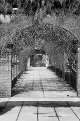 Garden Path with a trellis