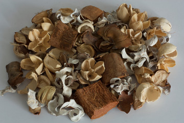 dried woods and flowers