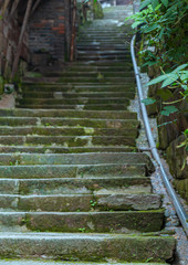 Go up the stone stairs.  Extending stairs and green plants.  comfortable environment.  Good place for a leisurely walk