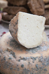 Natural homemade cheese made from goat and cow milk. Organic food. Healthy eating concept