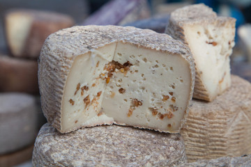 Natural homemade cheese made from goat and cow milk. Organic food. Healthy eating concept