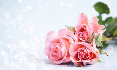 Fototapeta na wymiar Tender roses, romantic style