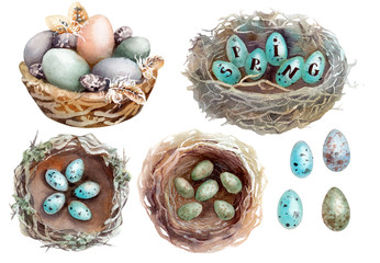 акварельная иллюстрация - гнезда дроздов с яйцами и корзинка с яйцами, декор к пасхе