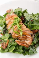 duck breast with sauce. Baked chicken breast with spinach and herbs. Close up of duck breast. Thin sliced chicken breast.