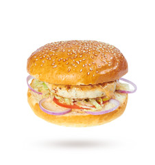 Hamburger on white background