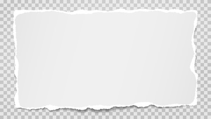 Piece of torn white and horizontal paper with soft shadow are on grey squared background for text. Vector illustration