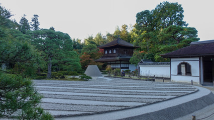 Stone stairway leading up to a beautiful park full of trees with green leafs and the ground covered with moss