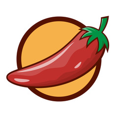 red chili pepper vector illustration