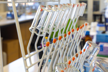 Chemical glassware are drying on the holder. Glass Beakers in chemical scientific laboratory.