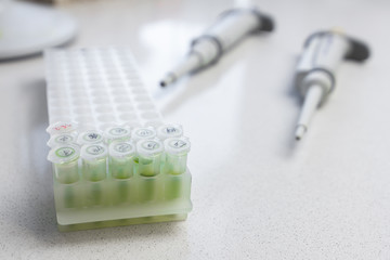 Chemical equipment are on the white background. Automatic pipettes and microtube rack on the...