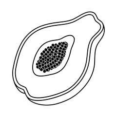 tropical papaya fruit isolated icon