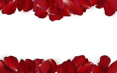 Falling red rose petals seasonal confetti, blossom elements isolated on white background. Abstract floral background with beauty roses petal. design for greeting cards.