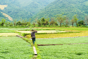 Farmers work in the fields in mountainous Laos. Province Shenghuang.