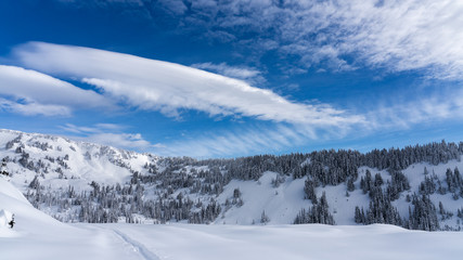 Fototapeta na wymiar Winter Snowshoe and Ski Trail Towards Mazama Ridge On A Beautiful Morning