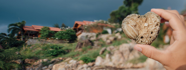 Hand of a man with coral on the background of Thai national houses. Close-up