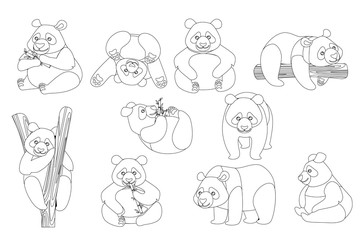 Set of cute big panda in different poses cartoon animal design outline style flat vector illustration