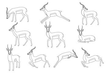 Set of african wild black-tailed gazelle with long horns cartoon animal design flat vector illustration on white background side view antelope outline style