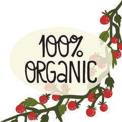 100 persent organic - card and banner, label design. Fun hand drawn lettering text and tomato vine. Eat local, healthy food concept. Vector illustration on isolated background.