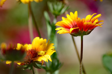 Regard sur la nature