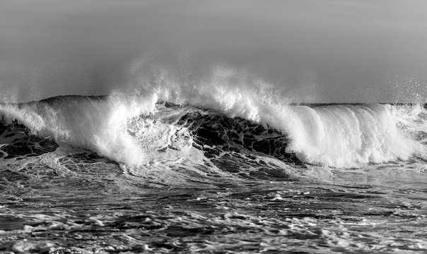 Black and white photo of wave, Sydney Australia © Gary