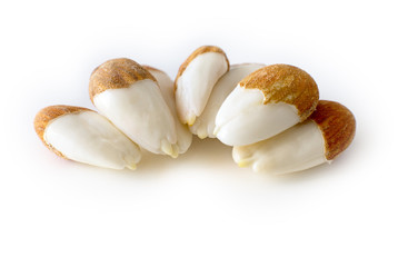 row, line of peeled young almonds on a white background, isolate, nut antioxidant