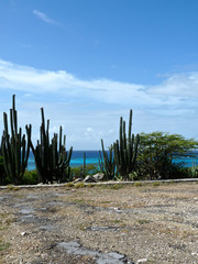 Oranjestad in Aruba - AUA