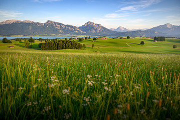 Idyllic rural Bavaria, Allgäu, Germany