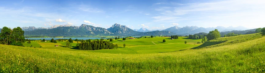 Poster Panorama van landelijke Beieren, Allgäu, Duitsland © auergraphics