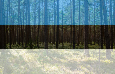 Beautiful pine tree forest in Estonia with blue, black, white Estonia transparent flag. Photo composite. Estonia wild pure nature as travel destination concept. - Powered by Adobe