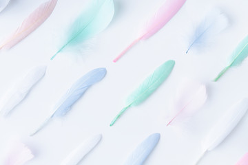 Obraz premium Flat lay of colored feathers arranged in diagonal rows