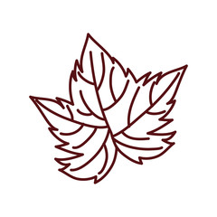 grape plant leaf nature icon