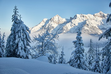 snowy mountain winter scenic landscape 