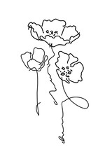 Abstract black and white drawing of poppies drawn on a white background.