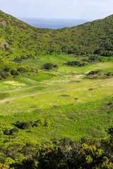 Monte Brasil, Angra do Heroismo, Island of Terceira, Archipelago of the Azores, Portugal, Europe