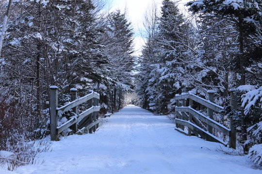 Winter