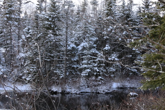 Winter