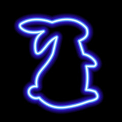 blue neon sign sitting rabbit on black background