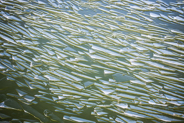Blocks of ice on the lake Balaton of Hungary