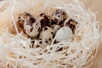 Quail eggs lie in a nest Selective focus.