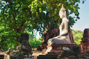 Obraz premium Parque historico de Ayutthaya