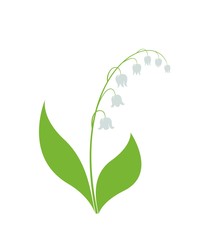 lily of the valley flower. spring floral element for design
