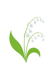 lily of the valley flower. spring flower design element