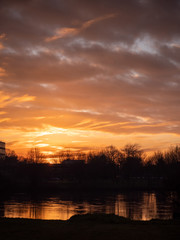 Fototapeta premium Rich colorful sunset sky reflects in a river. Trees silhouettes. Vertical image.