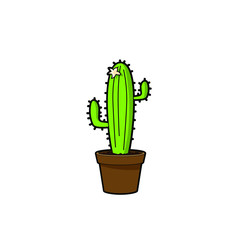 Cactus plant in pot. Houseplant vector graphic illustration. Cartoon cactus