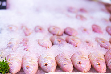 Fresh fish on ice in a seafood shop store