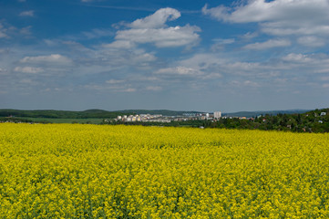 Obraz premium Brno-Zebetin landscape view during spring with rape field in the foreground
