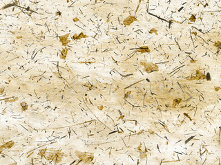 Vintage paper texture. Destroyed surface. 