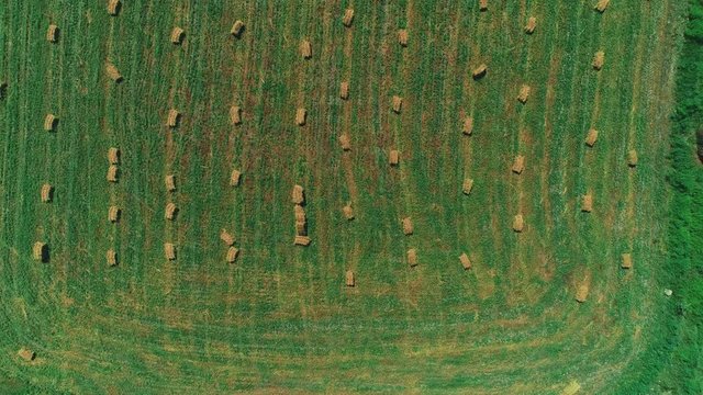 4K top view of rows of bales of hay in the field on summer.