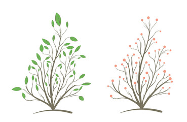 Bush with branches and leaves in two versions, with green leaves and berries