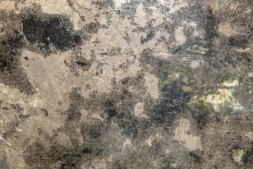 Stone texture and background. Rock mineral exclusive unique texture